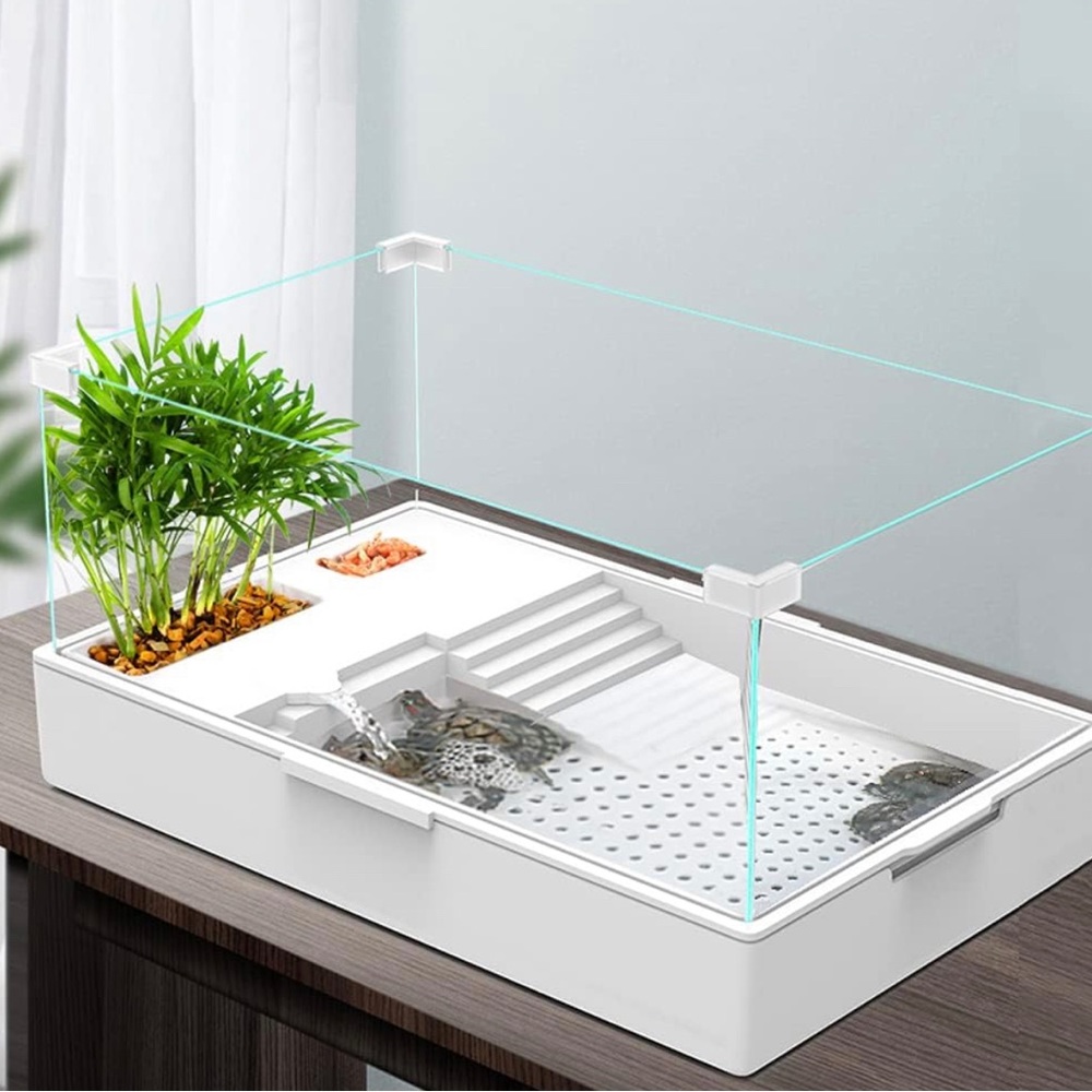 Glass Turtle Tank